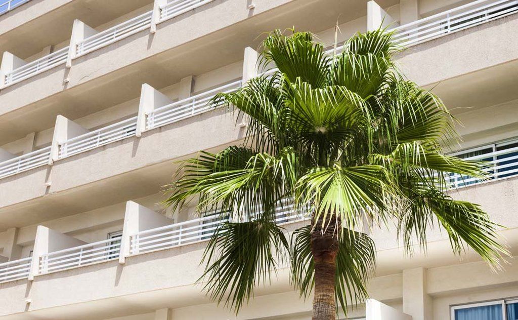 Globales Santa Ponsa Park Otel Dış mekan fotoğraf